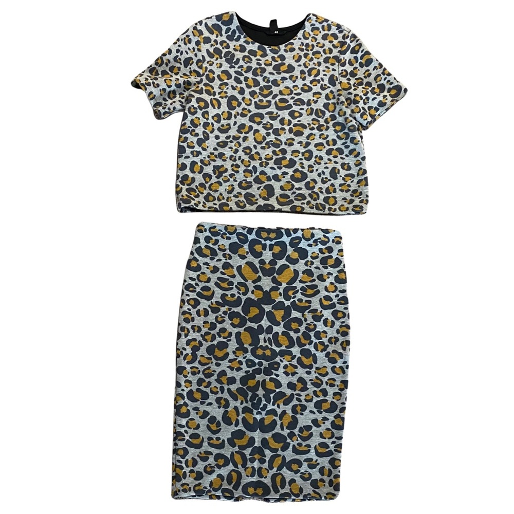 Animal Print Skirt and Top Co-ord Set